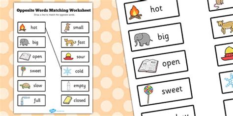 Opposites Worksheet | Opposite Words Matching Activity