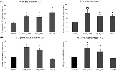 Effect of expression of HoICM, HoCM_FULL, and HoCM_CAT in rice on ...