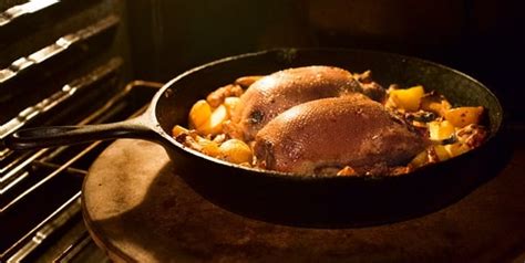 Duck Recipes - Recipes for Wild Ducks and Geese