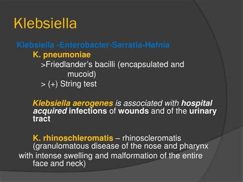 PPT - Members of the Family Enterobacteriaceae PowerPoint Presentation - ID:2313394