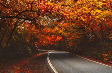 Finding Vermont's Most Scenic Fall Foliage | Vermont Public