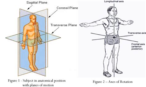 Quintic 4 Education Sports Video Analysis Software Education Package