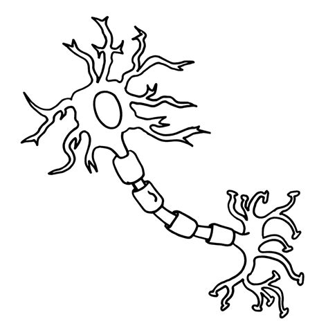 Neuron clipart - Clipground