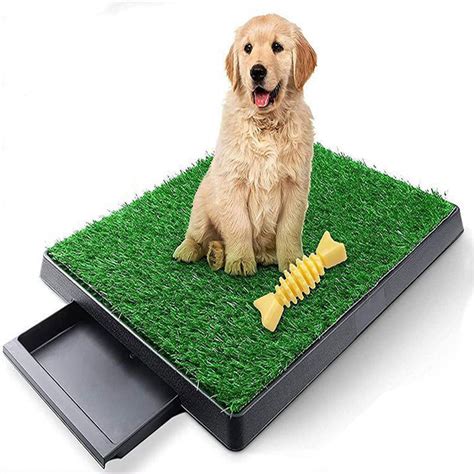 Tucker Murphy Pet™ Dog Grass Pad With Tray, Artificial Grass Mats ...