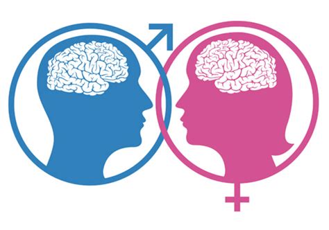 Viewpoint: We can't ignore scientific evidence about male, female brain ...