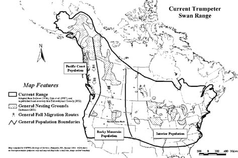 Current range, nesting grounds, and migration routes of the trumpeter... | Download Scientific ...