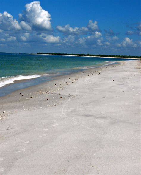 Seashells and Salty Air: Cayo Costa State Park