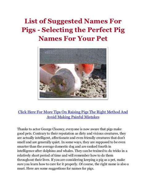 List of Suggested Names For Pigs - Selecting the Perfect Pig Names Fo…