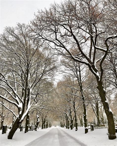 Beautiful Photos Of Toronto In The Snow