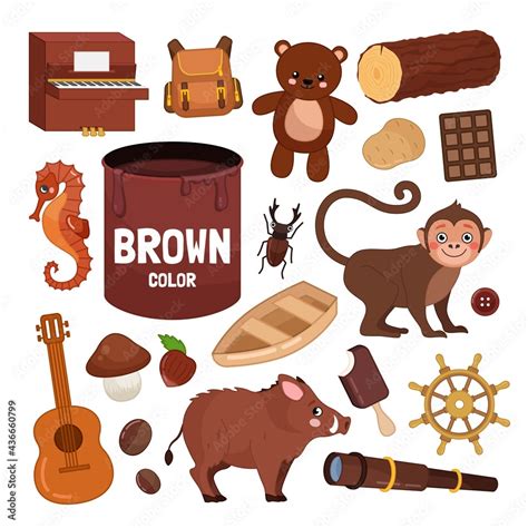 Vector set of brown color objects. Learn brown color. Illustration of primary colors. Stock ...