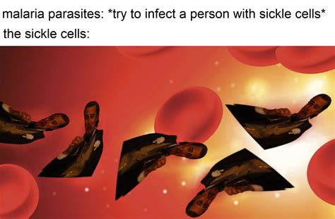 Biochemistry Memes Depicting Intracellular Scenes