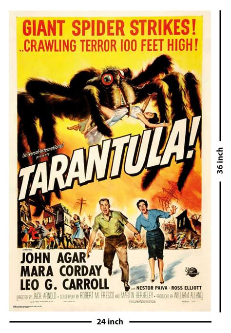 Tarantula Poster - 24" x 36"