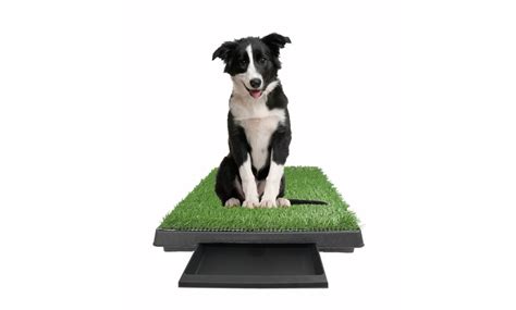 Up To 55% Off on Large Potty Pad Indoor Dog Ba... | Groupon Goods