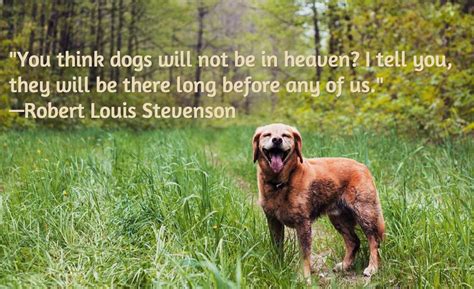 Quotes About Loss Of Dog. QuotesGram