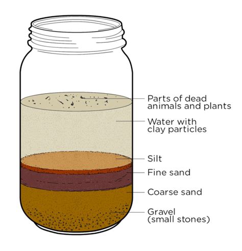 Soil sedimentation test | ingridscience.ca