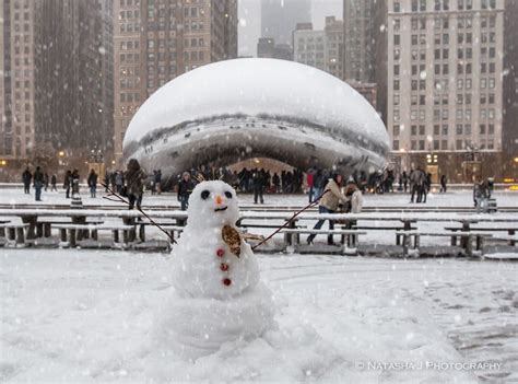 Two-day weekend snow storm in Chicago | Chicago winter, Chicago snow ...