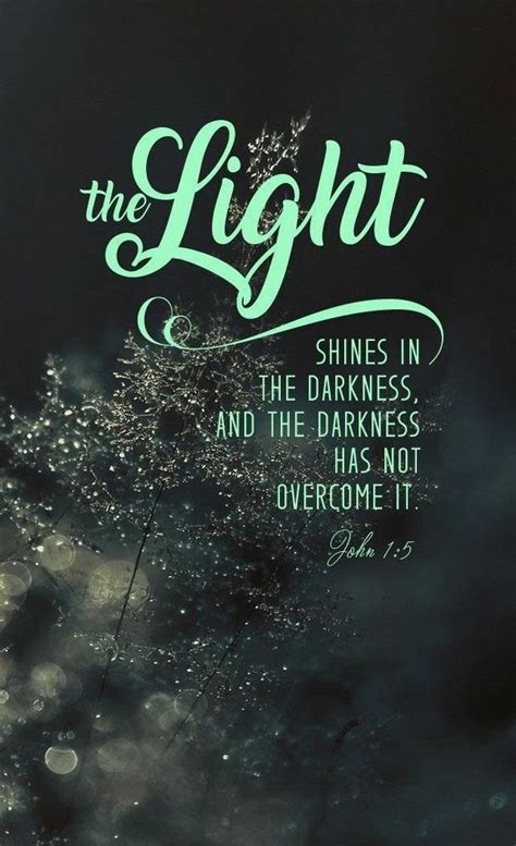 the light shines in the darkness and the darkness has not overcome it