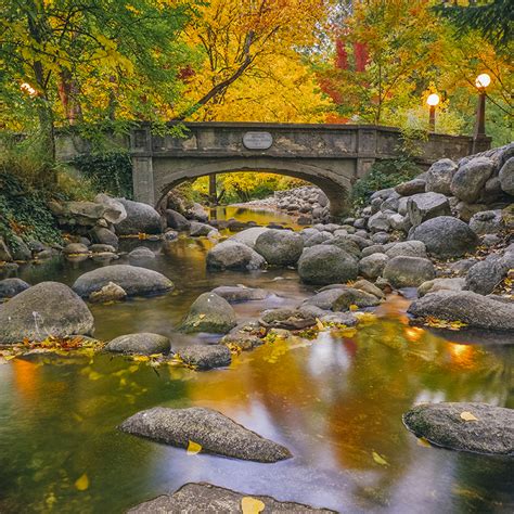 Hiking Lithia Park's Kaleidoscope of Fall Colors