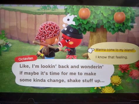 I FOUND OCTAVIAN BY CHANCE! : r/AnimalCrossing