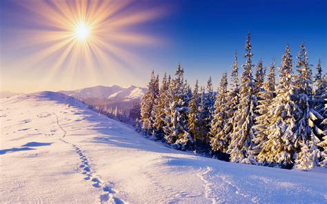 Winter Sunshine Wallpapers - Top Free Winter Sunshine Backgrounds ...