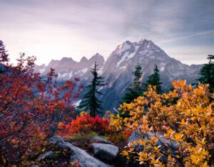 9 Stunning & Surprising Fall Hikes in Washington State • Small Town ...