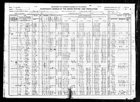 1920 US Census | Melamed Family History