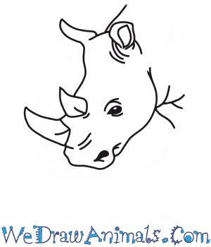 How to Draw a Rhino Head