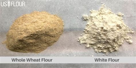 Whole Wheat Flour Vs. White Flour: What Should You Choose For Baking ...