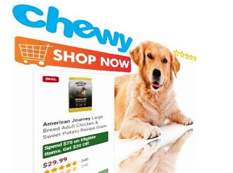 Best Chewy Dog Food brands | Dry food list for large & small dogs