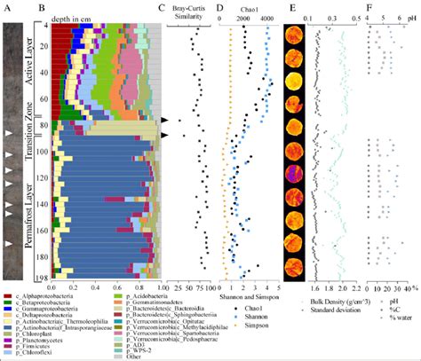 Permafrost soil profile illustrating: A. The soil structure in... | Download Scientific Diagram