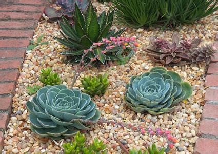 Landscaping Garden Design With Succulents | LoveToKnow