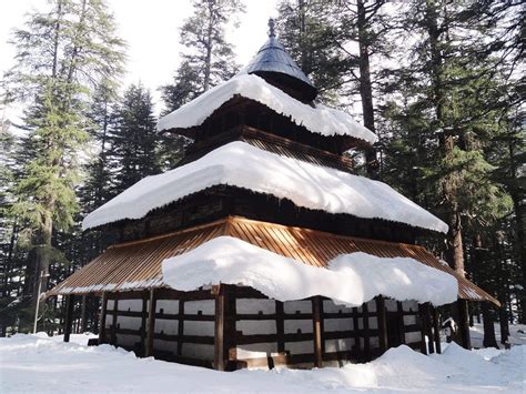 Hidimba Devi Temple, Manali: How To Reach, Best Time & Tips