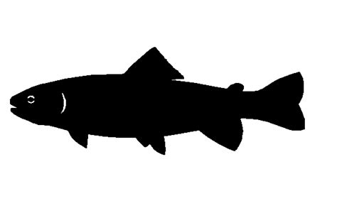 Trout Silhouette - ClipArt Best