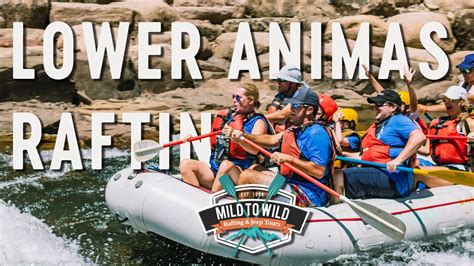 Durango Rafting - Whitewater Rafting In Durango, CO | Mild to Wild - YouTube