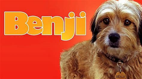 Benji (1974) - YouTube