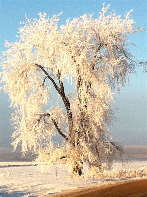 Winter in North Dakota - from Dad | North dakota, Wish i was there, World