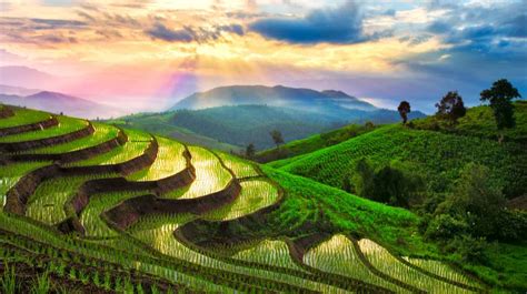 10 Terrace Farming Around The World | Types Of Farming