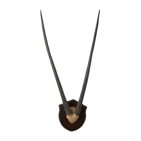 African Gazelle Horns | Dark Brown > Moniker Home