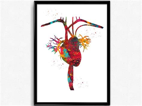 Heart Anatomy Medical Art Watercolor Medical Office Decor | Etsy