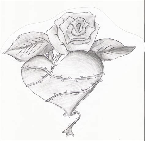 Pencil Drawings Of Hearts And Roses - pencildrawing2019