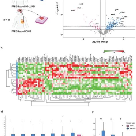 The Nanostring nSolver advanced analysis for the targeted gene... | Download Scientific Diagram