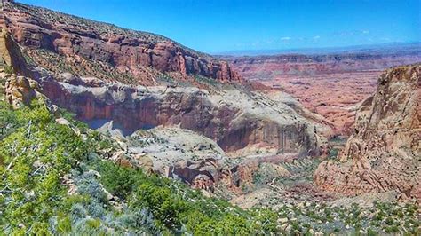 Rainbow Bridge Trail Ultra - Navajo Mountain , AZ 08/04/18