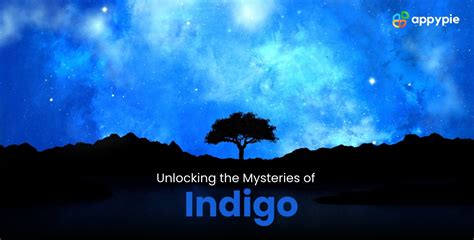 Color Theory Explained: Why Indigo is More Than Just Blue