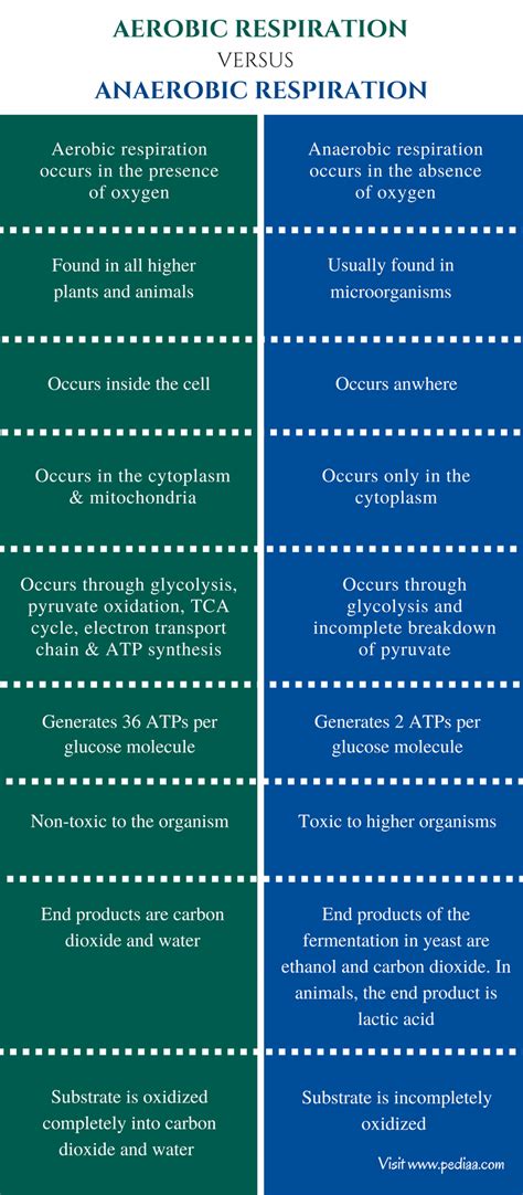 Difference Between Aerobic and Anaerobic Respiration | Characteristics ...