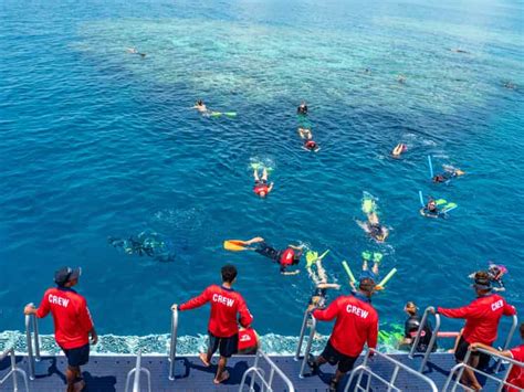 From Cairns: Great Barrier Reef Snorkeling Experience | GetYourGuide