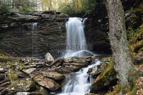 Waterfalls in Monongahela National Forest 이미지 (174756651) - 게티이미지뱅크