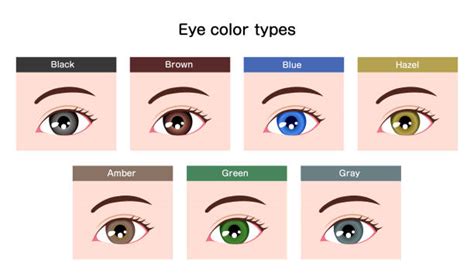 Heterochromia- Types, Causes, Diagnosis, Remedies And Treatment