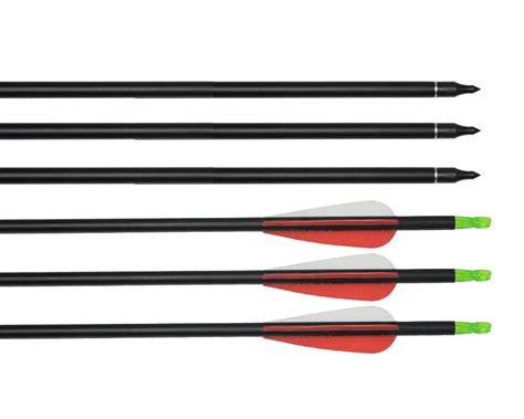 2 dozens archery hunting carbon arrows 31 inch compound bow arrows-in ...