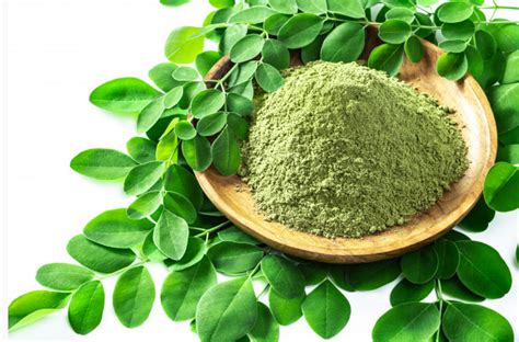 MORINGA: EFFECTIVE REMEDY FOR DIABETES - Health GadgetsNG