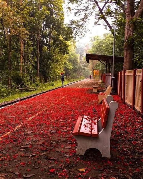 Melattur Railway Station, Kerala [1200x1500] : r/IndiaSpeaks